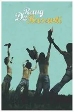 Divinedesigns Multicolor Vinyl Rang De Basanti Poster