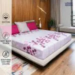Urban Space Divine 100% Cotton Bedsheets for Double Bed with 2 Pillow Covers, Double Bedsheet (Size 90 inch x 100 inch, Mars Purple)