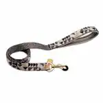 Glucklich Elegance Printed Pet Leashes with Gold Plated Metal Hook (S, Ohio)