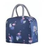 Lunch Bags for Office Women & Men, Insulated Lunch Bag for Kids, Tiffin Bag with Bottle Holder