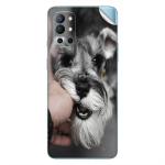 GADGETSWRAP Printed Vinyl Skin Sticker for Oneplus Nord 2 - miniature schnauzer puppy