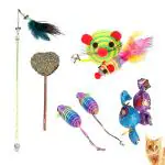 Emily Pets 5 in 1 Cat toy Combo Colorful Mice, Catstick, Catnip Lollipop Toy For Cats & Kittens (Pack of 5, Color May Vary)