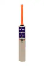 SS Cannon Cricket Bat For Mens and Boys (Beige, Size -Short Handle) | Material: Kashmir Willow | Lightweight | Free Cover | Ready To Play | For Professional Player | Ideal For Leather Ball