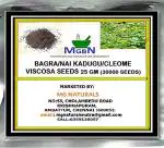 MGBN THE PATH FOR THE HEALTHIER LIFE WITH BEAUTY Bagra, Nai Kadugu, Cleome Viscosa Seeds -25 g (30000 Seeds)