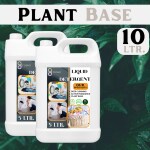 Flisko Washing Machine Liquid Detergent 5 Liter Detergent Liquid Refill 5L Can, Designed for Dirt removal in Washing Machine for all kinds of clothes ( Buy 1 Get 1 Free )