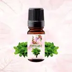 Pink Petal Peppermint Essential Oil | Mentha piperita | Radiant Skin, Sunburn Relief, Soothed Muscles, and Revitalized Hair | 100% Organic & Natural Essential Oil , Skin & Hair Care, Scalp, Aromatherapy- 100ml