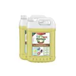 PaxClean Economical Disinfectant Surface & Floor Cleaner Liquid (Fresh Citrus), 10L (5L X 2)