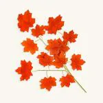 SPECIALYOU.IN Pack of 6 Artificial Orange Maple Leaves Plants Autumn for Indoor, Home, Wedding, Door, Window Decoration, Fake Leaf Garland for Hanging