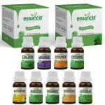 Essancia - Naturally In Every Drop Tea Tree, Lavender, Orange, Lemon, Peppermint, Rosemary, Eucalyptus, Frankincense, Citronella Essential Oils, 15 Ml Each (Combo Of 9)