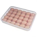 Inditradition Refrigerator Egg Tray Holder with Cover | for 24 Eggs, Plastic, Transparent (Pack of 1)