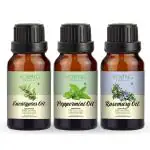 Young Chemist Eucalyptus, Peppermint and Rosemary Essential Oil Hair Growth and Aromatherapy for Hair 45 ml Pack of 3