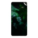 GADGETSWRAP Printed Vinyl Skin Sticker for Samsung Galaxy S10 - water droplets on green leaf