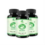 MINTVEDA Ginkgo Biloba Veg Capsules, 40 Capsules Each (Pack Of 3)