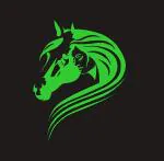 DreamKraft Green Vinyl Glow In The Dark Decorative Radium Sticker 25x20 cm