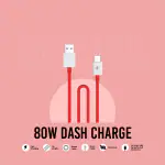Onelife 80W Fast Charging Type C Cable for Smartphones, Tablets & other Type C devices (Red)
