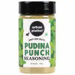 Urban Platter Pudina Punch Seasoning, 100g (Mint Seasoning | Refreshing and Appetizing | Classic Pudina Flavour)
