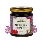 Nutricrate Natural Unprocessed Unheated Unfiltered Non-Pasteurized Raw Forest Tribal Honey Wild Multi Floral Honey 250 g