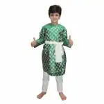 KAKU FANCY DRESSES Indian State Gujrati Dance Costume for Kids Navratri Dress/Garba Dandiya Dance Costume for Boys - Green, 14-17 Years
