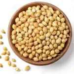 AJAY SPICES Whole Coriander Seeds / Dhaniya Seeds , 1 KG