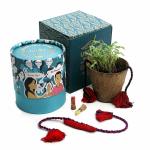 bioQ Hand-Made, eco-Friendly plantable Crochet Rakhi kit for Brother | Design: Band | Color: Red | Planting Kit Included