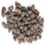 Xetomos Natural Kokum Garcinia indica Herb 150g