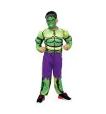 Kaku Fancy Dresses Spandex Superhero Costumes For Kids | Super Hero Fancy Dress For Kids - 14-17 Years, Green, For Boys