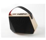 DM Bluetooth Party Speaker XSound Go 16W 5.0 Bluetooth Speaker with Loud Sound & Rich Bass, 24H Playtime Portable Speaker for Home/Outdoor/Travel Black