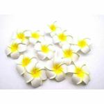 SATYAM KRAFT 24 Pcs Artificial Big Fake Foam Hawaii Beach Water Floating Flowers for Decoration, Pooja Thali. Festival & Events, Home, Table, Bedroom, Pooja Room, DIY Craft (White, 6 cm) (24)