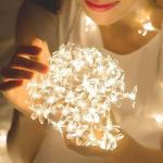 NSCC 16 led Silicone Blossom Flower 3 Meter Decoration Light for Diwali, Christmas, Weddings and Home Decoration (Warm White)