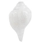 BOVZEN BLOWING SHANKH DESIGN