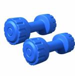 GRIFFIN One Pair PVC 3 Kg Dumbbell (2 Pcs)