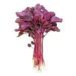 PARYAVARAAN Red Amaranth Seeds Leaves For Home Gardening pack of 30 seeds