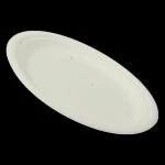 Klassic 100% Natural Plant Biomass White Biodegradable Safe Hygienic 10