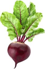 XOLDA Exotic sweet william Seed (26 per packet)