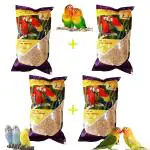 Parrots Wizard Kangni Seeds For Birds - 950 g (Pack of 4)