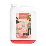 Kleenest Tropical Breeze Floor Cleaner liquid concentrate Starter Kit | Makes 1.5 litres