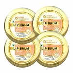 Khadi Organique Pure Natural& Herbal Peach Lip Balm for Dry and Chapped Lips | Khadi Lip Balm for Women & Men | Pack of 4