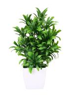 CUREASY Fourwalls Artificial Bonsai Tree with Designer Pot for Home Decor, Room Decorations, Living Room Table, Diwali Decoration Plants and Craft Items Corner (with Plastic Vase Pot) (Green)