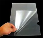 ECLET A4 Size L Folder File (Pack of 12)