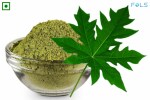 FOLS PAPAYA / PAPITA LEAF POWDER | HERBAL & AYURVEDIC | 250 GM