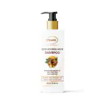 D'SAMIE Ultra Nourish Argan Shampoo | - Best for Damaged, Dry, Curly or Frizzy Hair - Thickening for Fine/Thin Hair | EVERYDAY USE | For Men and Women (300ml)
