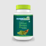 Earthomaya Wheat Grass Powder 100gm | Organe flavor | 100 Pure, Non-GMO, Vegan |Good for Skin Health