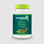 Earthomaya Wheat Grass Powder 100gm | Organe flavor | 100 Pure, Non-GMO, Vegan |Good for Skin Health