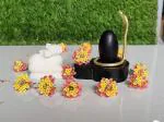 Black Narmadeshwar Narmada Stone Shivling Shiva Lingam Balaingam Shivlingam for Home Small Shiva Ling for Daily Worship with Narmada Stone Jaladhari Base Stand White Marble Nandi & Brass Snake (Naag)