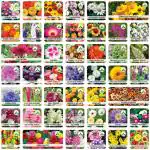 ONLY FOR ORGANIC 45 Variety Of Flower Seeds With Instruction Manual