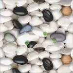 DISENO Nature Multicolor Wallpaper (300 Cm X 40 Cm)