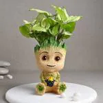 Guuchuu Decorative Syngonium Live Indoor Plant In Cute Avenger Groot Resin Vase Pot For Living Room