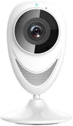 IBS 180 Degree Wide Angle Security Camera with Night Vision and Video Recording