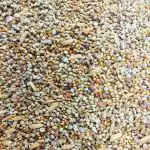 Pets Wizard - Premium Bird Food forAll Types of Bugies & Finches - 1800 Grams