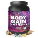 Nutrikey Body Gain, Whey Protein Supplement, Protein Powder, Whey Isolate (1 KG-Vanilla)